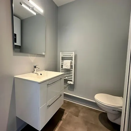 Appartement 64 Rénové Et équipé - Nancy Proche Chru,cesi,fac