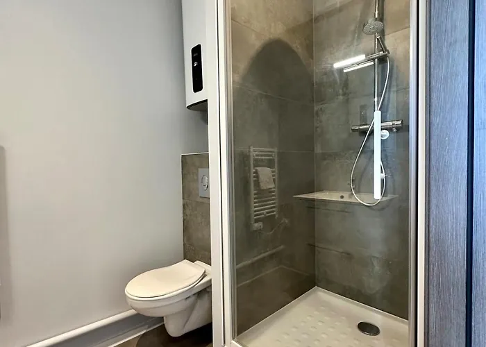 64 Renove Et Equipe - Nancy Proche Chru,cesi,fac 公寓 旺德夫尔莱南锡